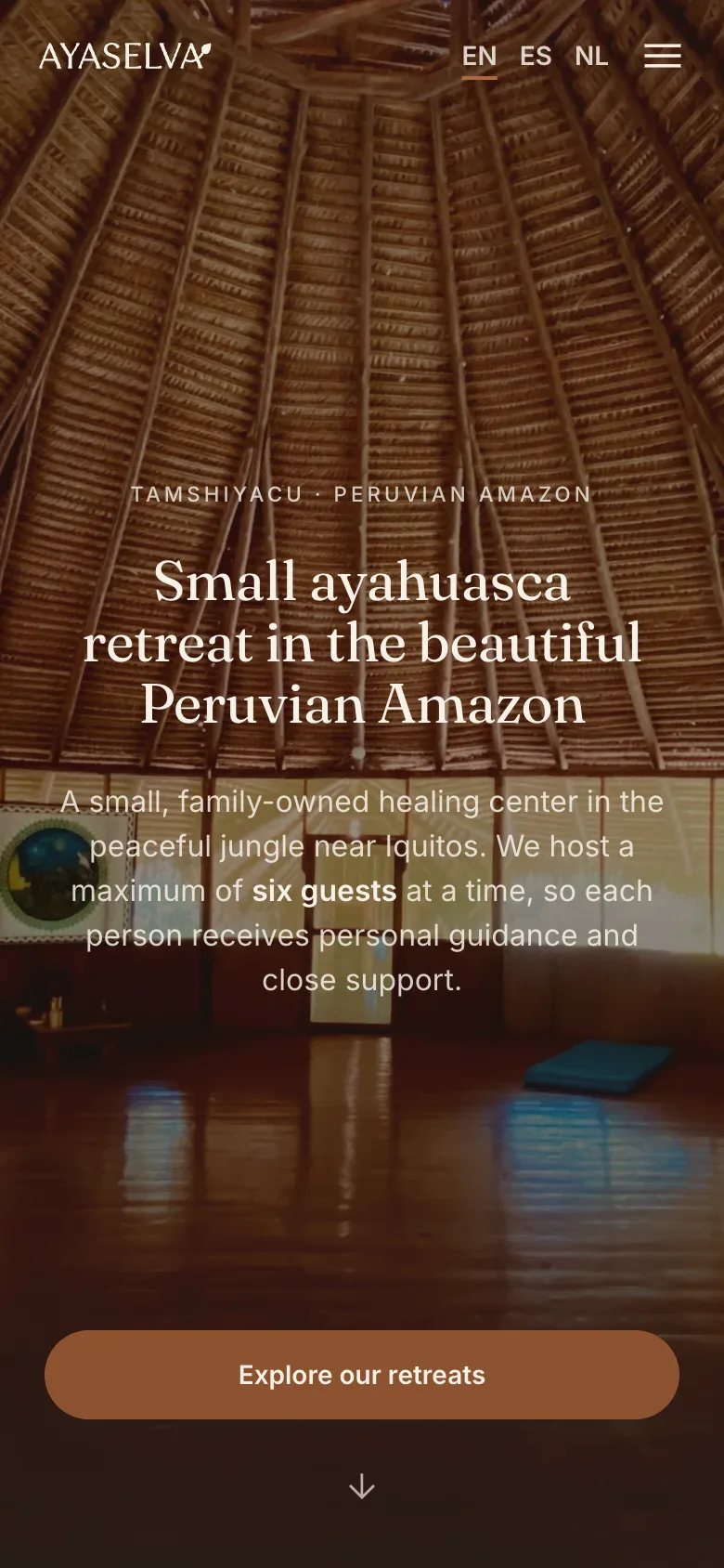 Ayaselva, site centru de vindecare, versiune mobilă